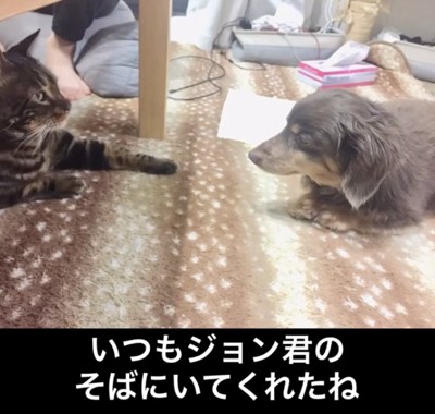 そっと寄り添います