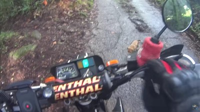 駆け寄ってきたのは…