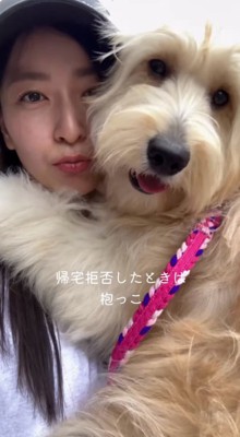 散歩中に女性に抱っこしてもらう子犬