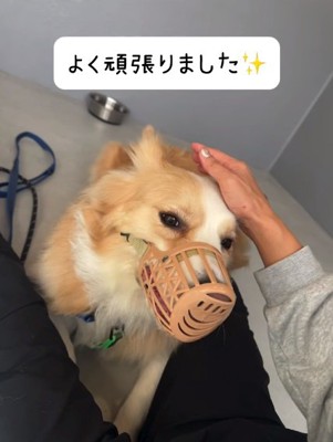 頑張ったそらくん