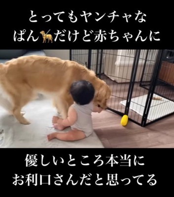 赤ちゃんに優しいぱん君7