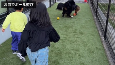 お庭でボール遊び開始