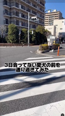 女性に連れられた犬に近寄る男性