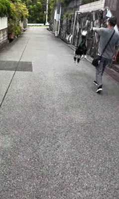 おじさんとお散歩中のルナちゃん5