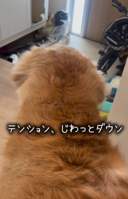 じわっとテンションダウン