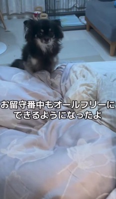 現在はのびのびと暮らしているそう♪