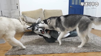 正体がバレた!!