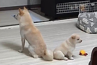 アニメのワンシーンのよう
