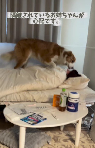 「お姉ちゃん、大丈夫…?」