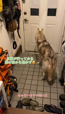 玄関前で立ちすくむ犬