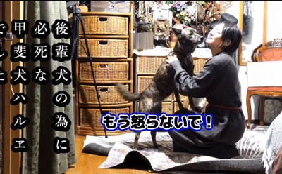 飼い主に抱きつく犬