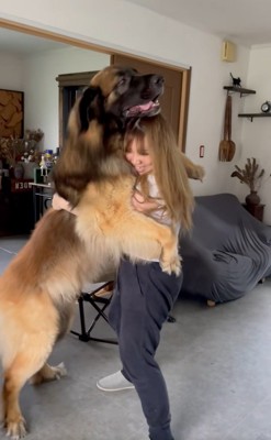 頭一つ大きいレオンベルガー