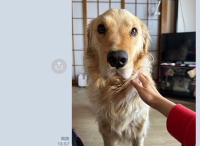 切ない表情にキュン…♡