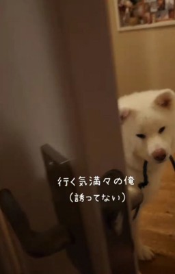 ドアを閉めてみた