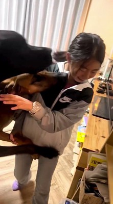 女の子の顔に自分の顔を近づける黒い犬