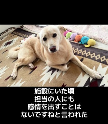 感情を出すことはない