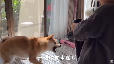 「水遊びも付き合うよ♪」