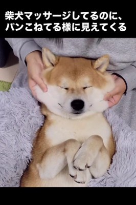 パンこねてるみたい…♪