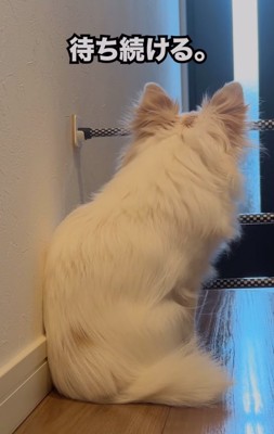 玄関に座り込む