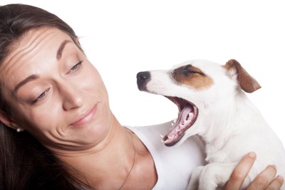 口を開ける犬を避ける女性