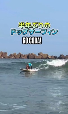 ドッグサーフィンも得意!
