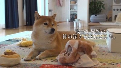 ずっと隣に置いていたそう