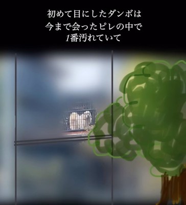 遠くからこちらを見つめる犬