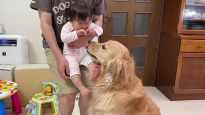 ほのちゃんと離れたくない