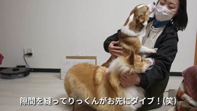 りくまるちゃんが先に!