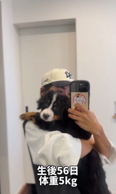 ダンボくんの成長4