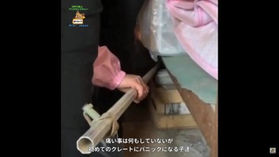 捕獲するのに一苦労