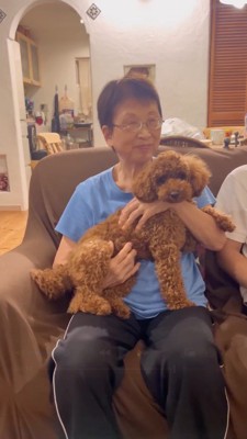 ソファーに座って犬を抱っこする女性