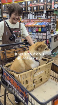 犬が乗ったカートを押す店員