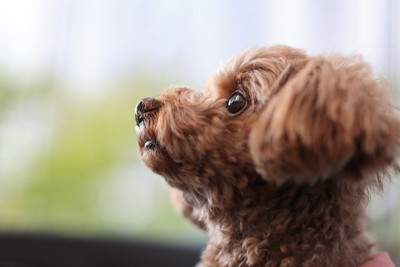 霊感のイメージ