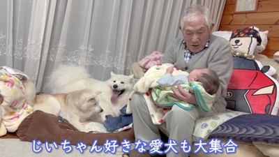 わんこたちも駆けつけた