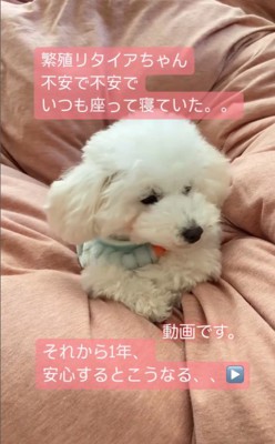 まめちゃんの変化2