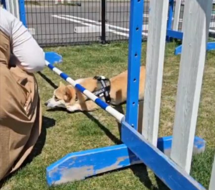 まさかの反則技