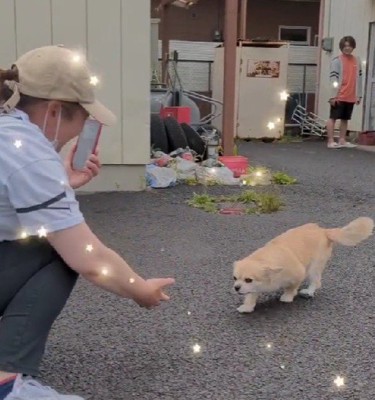 「あ…ママだ」