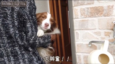 男性に抱きつく犬