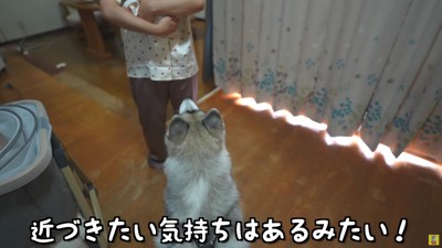 赤ちゃんと初対面