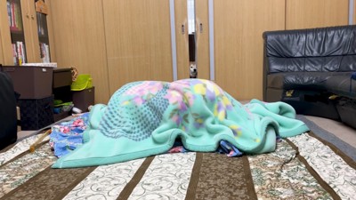 部屋に現れたのは…