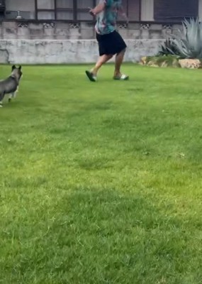 庭で追いかけっこ!?