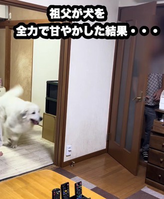 大好きな人が帰ってきた!
