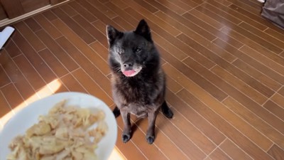 おやつをもらう一休さん