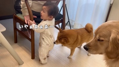 「倒れちゃうから座って!」