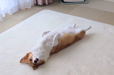 ピロピロ