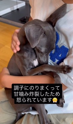 反省中のクッカちゃん