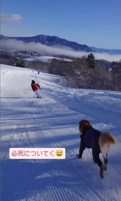 ゲレンデを爆走するリコくん4