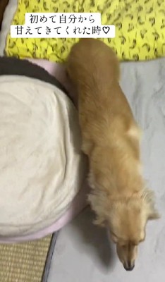 ある日突然、駆け寄って…