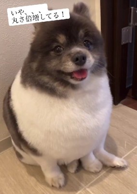 どんな姿も可愛い!!